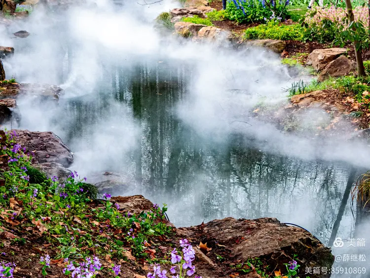 植物园南园游记：不是仙镜胜似仙境